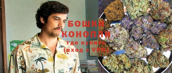 сатива Волосово