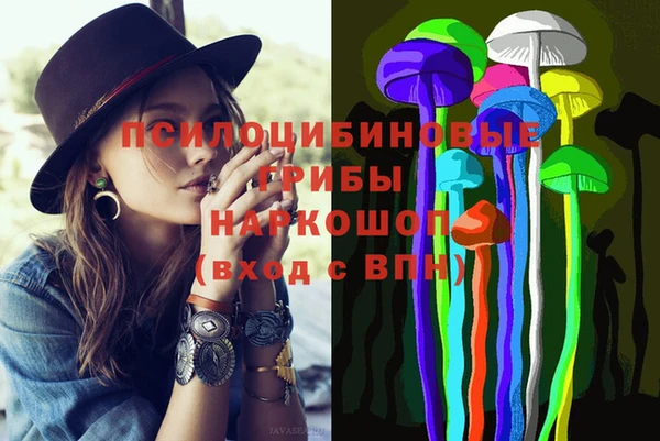 сатива Волосово