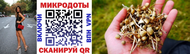 Купить закладки Мегион Псилоцибиновые грибы Psilocybine cubensis